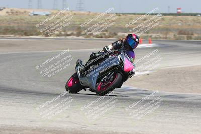 media/Aug-03-2024-TrackDaz (Sat) [[30bed884ff]]/C Group/1240pm (Grapevine)/